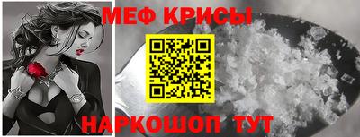 стаф Гатчина