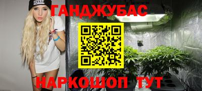 стаф Гатчина