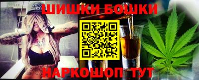 стаф Гатчина