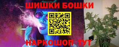 стаф Гатчина