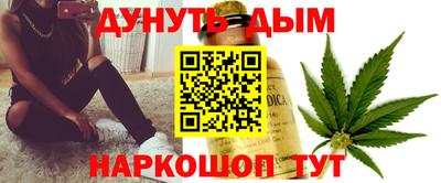 стаф Гатчина